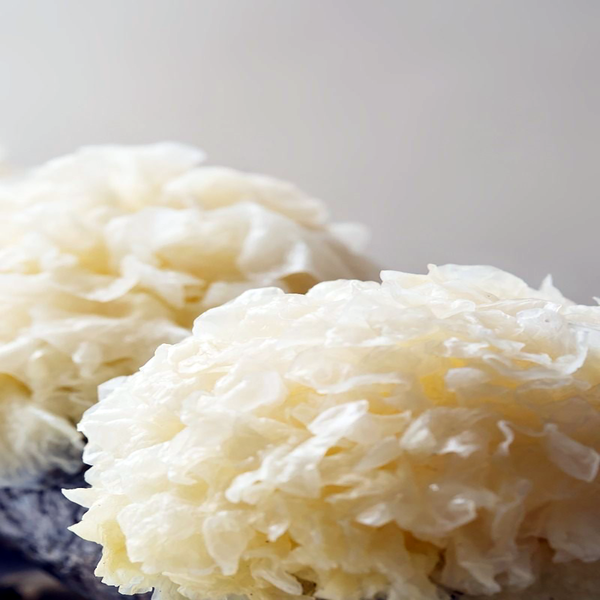 Snow Mushroom